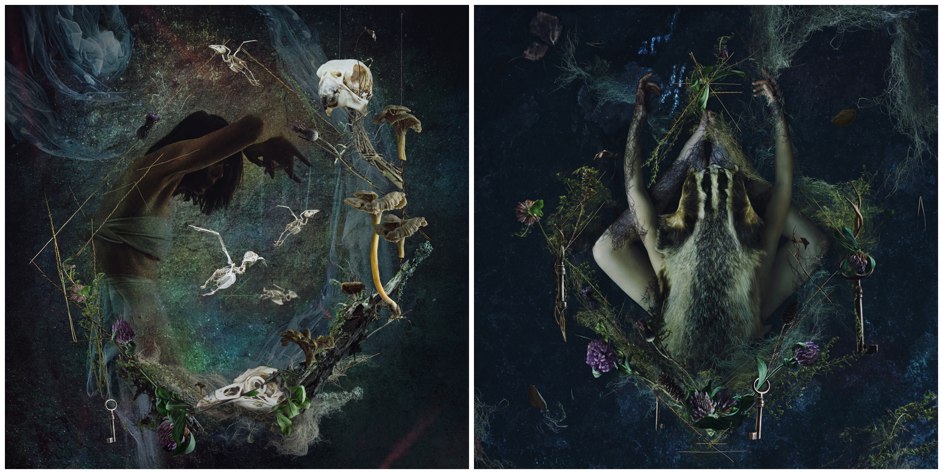 Photo-montages celebrating the interconnectedness of Nature by Natalie Field showing at solo art exhibition at Berman Contemporary in Sandton.